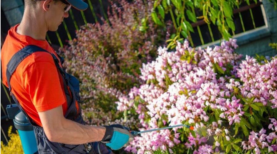 Zu sehen ist das Bild zum Beitrag mit dem Thema: Natürliche Hausmittel gegen Gartenschädlinge