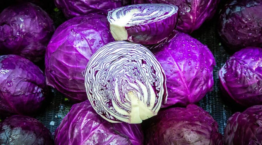 Zu sehen ist das Bild zum Beitrag mit dem Thema: Rotkohl pflanzen